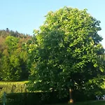 Haus Annemarie * Goldkronach