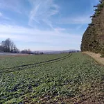 Haus Annemarie Apartamento