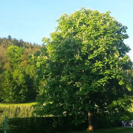 Haus Annemarie * Goldkronach