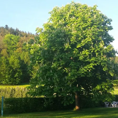Lejlighed Haus Annemarie Goldkronach