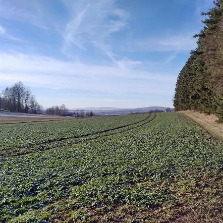 Haus Annemarie Appartement