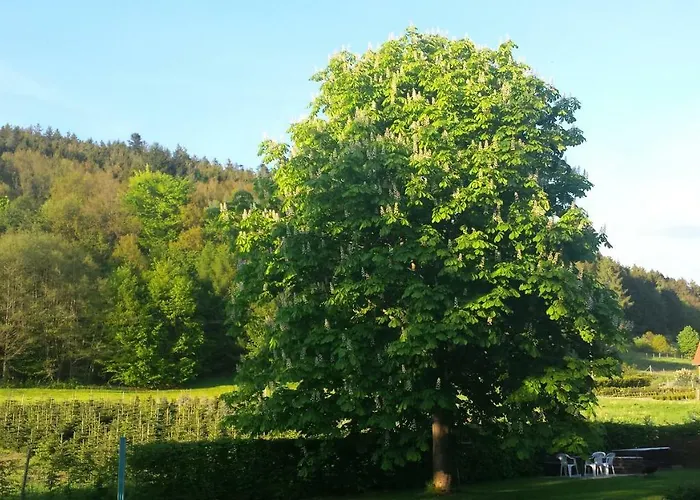 Haus Annemarie * Goldkronach