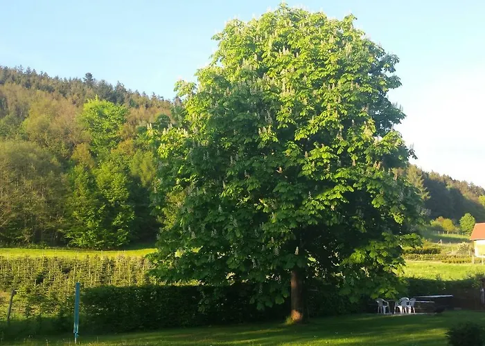 Daire Haus Annemarie Goldkronach